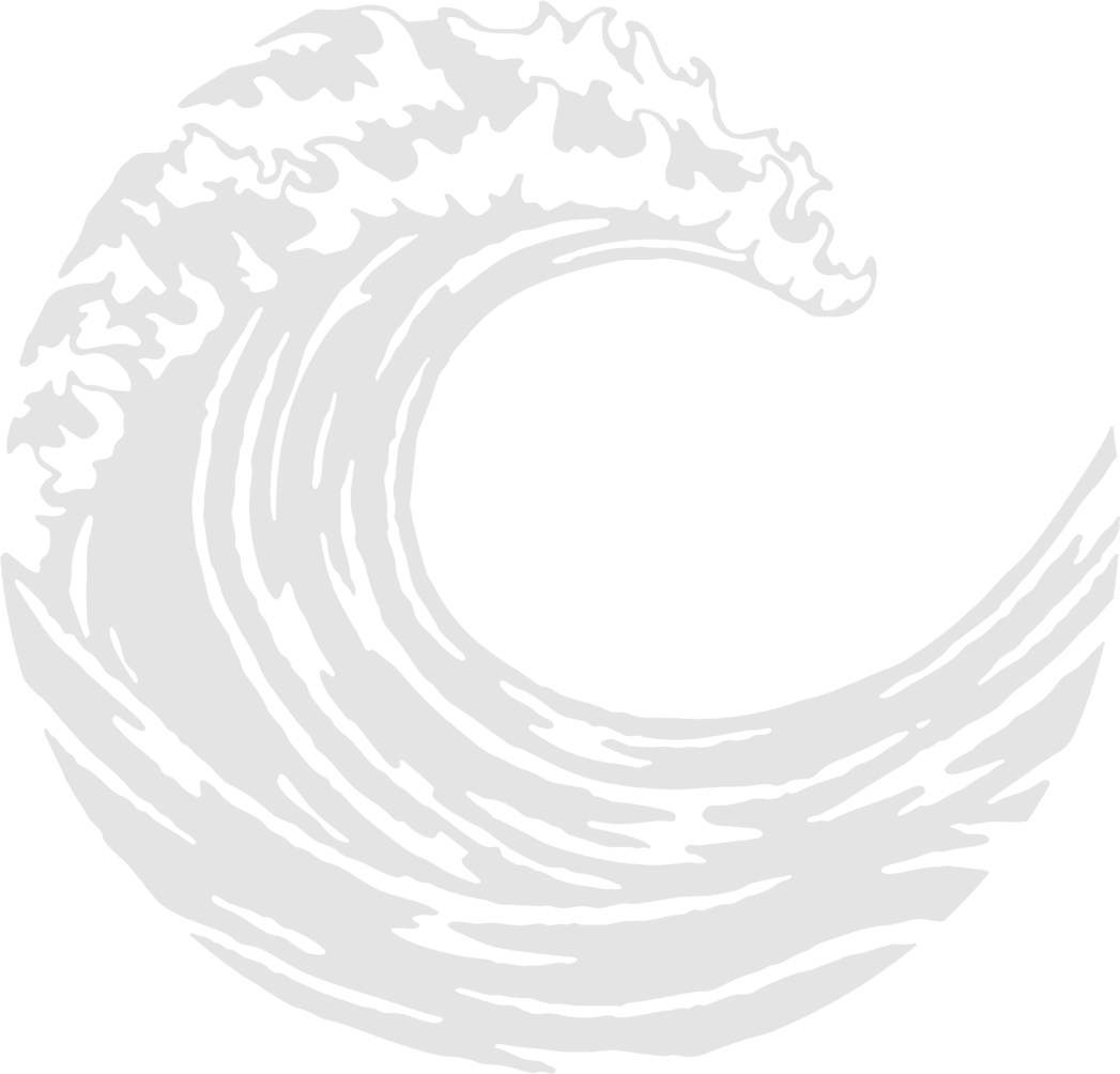 Martin Pfeffer Wasserkraftanlagen